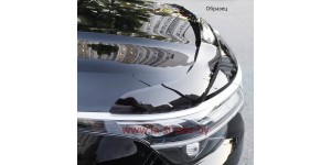 Дефлектор капота Audi Q3 (11-) [S1]